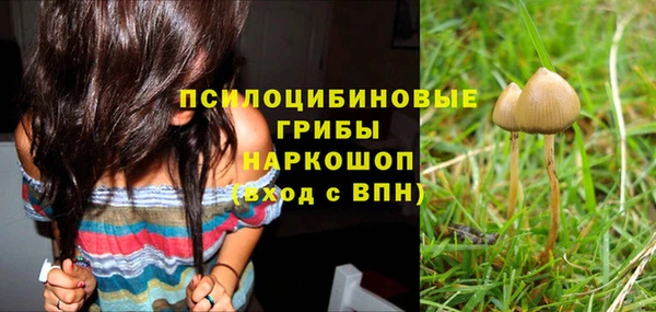 винт Майский