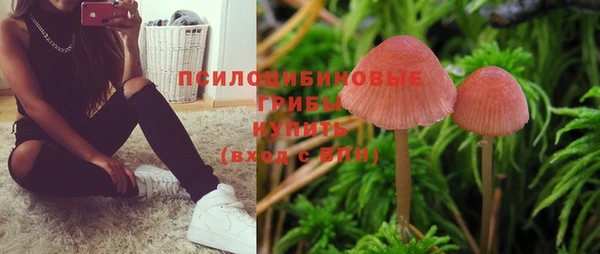 кокс Магас