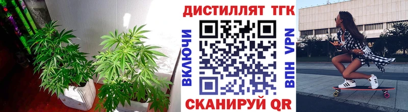 Дистиллят ТГК концентрат  Чегем 