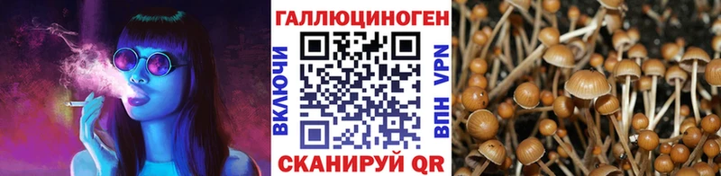 Псилоцибиновые грибы мухоморы  Чегем 