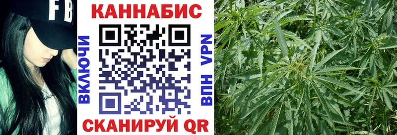 Бошки марихуана White Widow  Чегем 
